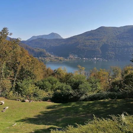 La Finestra Sul Lago Bed & Breakfast Brusimpiano Bagian luar foto