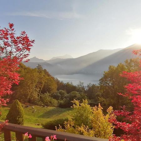 La Finestra Sul Lago Bed & Breakfast Brusimpiano Bagian luar foto