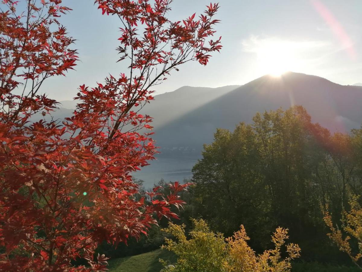 La Finestra Sul Lago Bed & Breakfast Brusimpiano Bagian luar foto