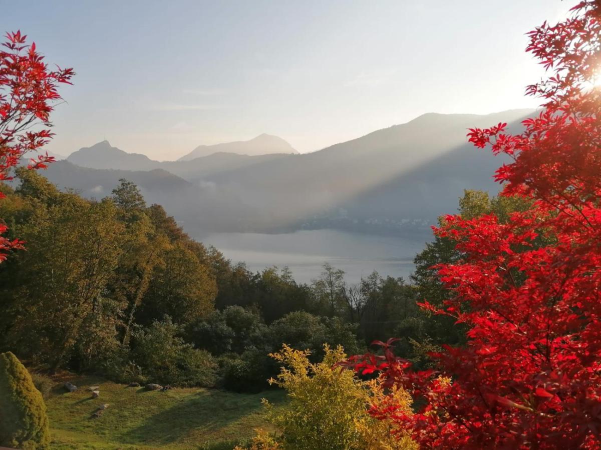 La Finestra Sul Lago Bed & Breakfast Brusimpiano Bagian luar foto