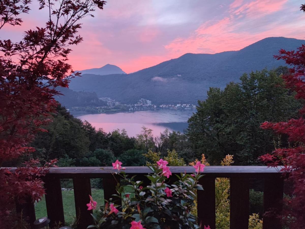 La Finestra Sul Lago Bed & Breakfast Brusimpiano Bagian luar foto