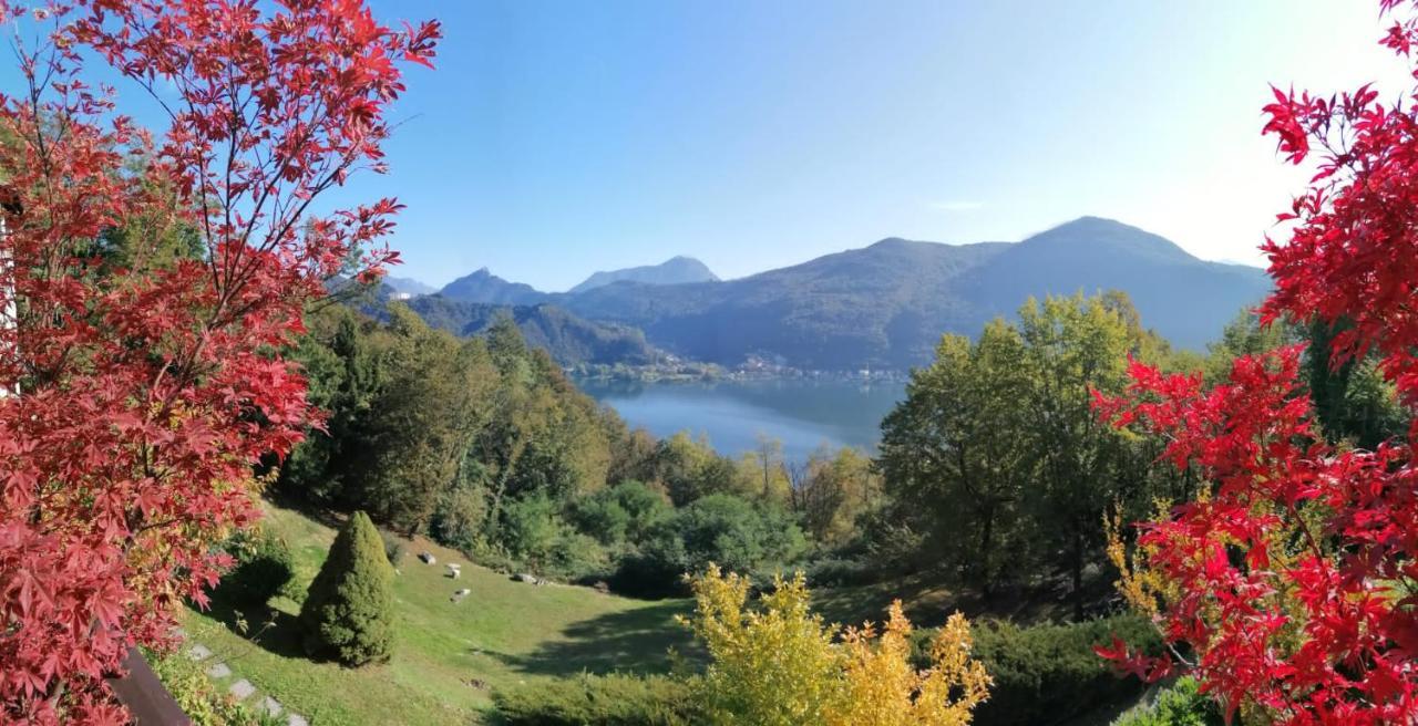 La Finestra Sul Lago Bed & Breakfast Brusimpiano Bagian luar foto