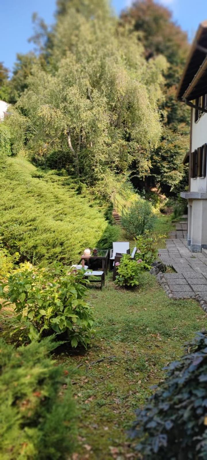 La Finestra Sul Lago Bed & Breakfast Brusimpiano Bagian luar foto