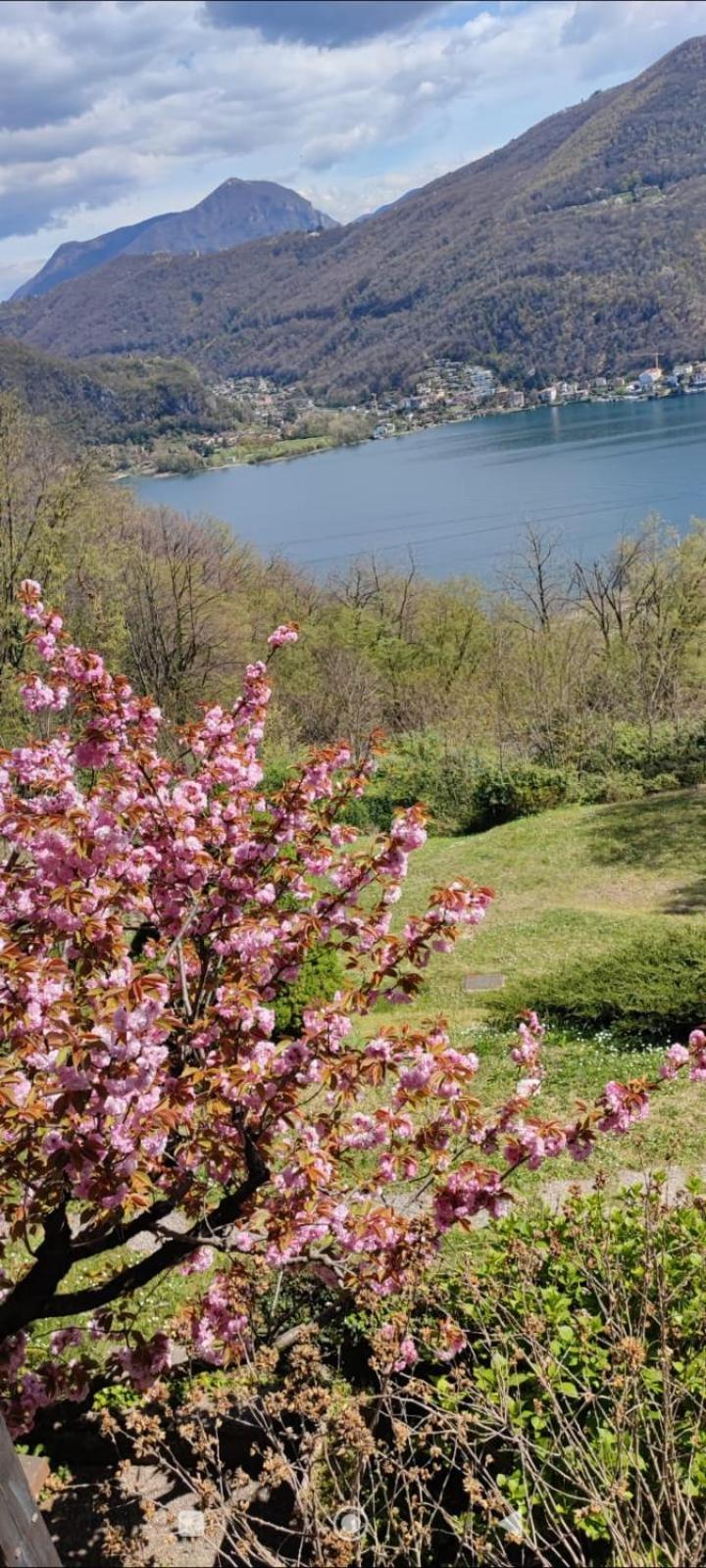 La Finestra Sul Lago Bed & Breakfast Brusimpiano Bagian luar foto